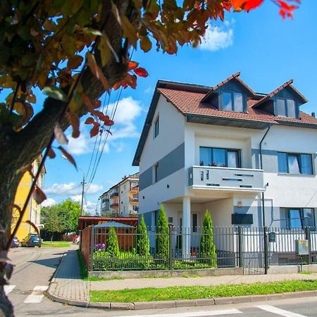 Vila Roza Sighetu Marmatiei Ngoại thất bức ảnh