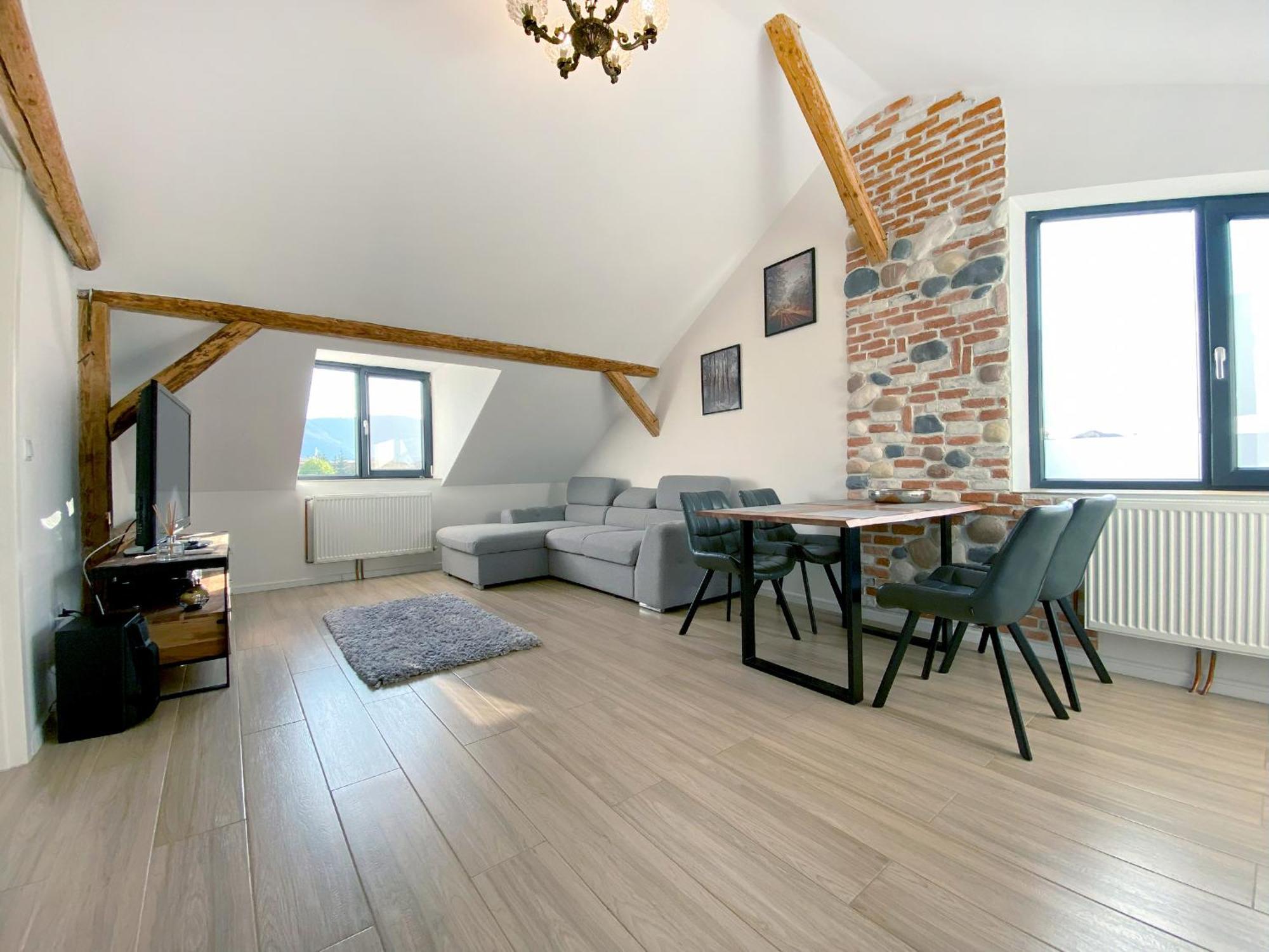 Vila Roza Sighetu Marmatiei Ngoại thất bức ảnh